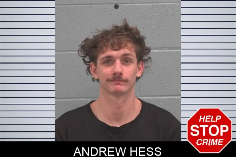 Andrew Hess