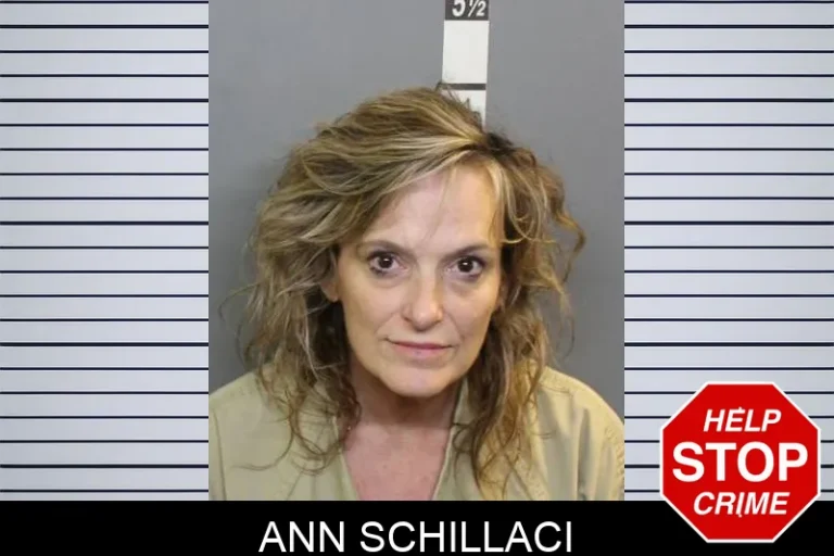 Ann Schillaci