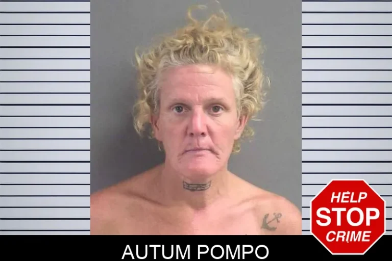 Autum Pompo