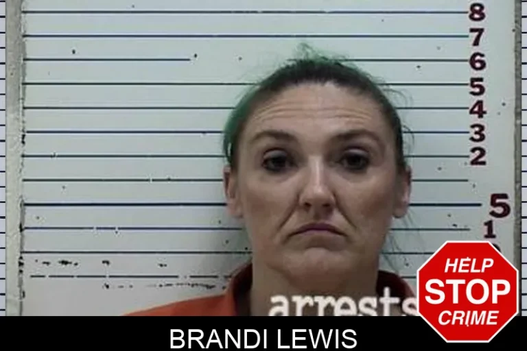 Brandi Lewis