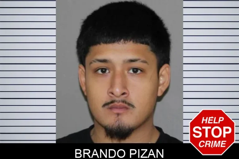 Brando Pizan