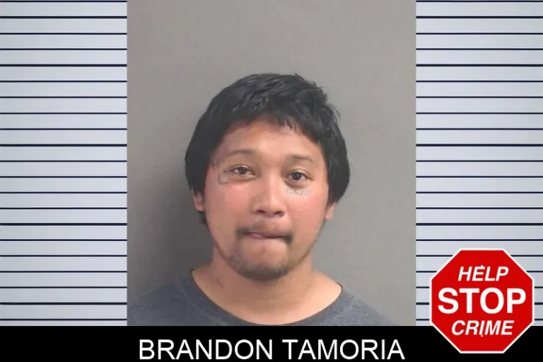 Brandon Tamoria
