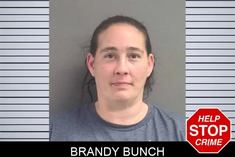 Brandy Bunch