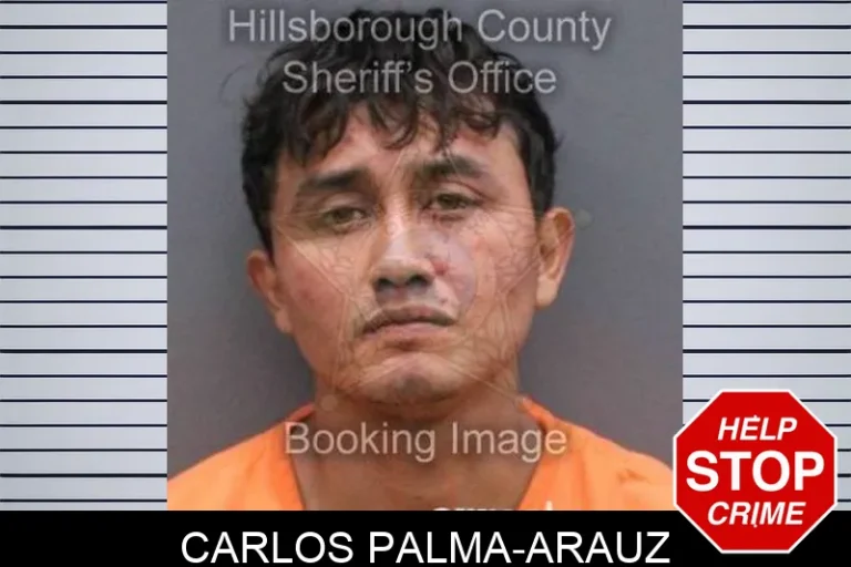 Carlos Palma-Arauz