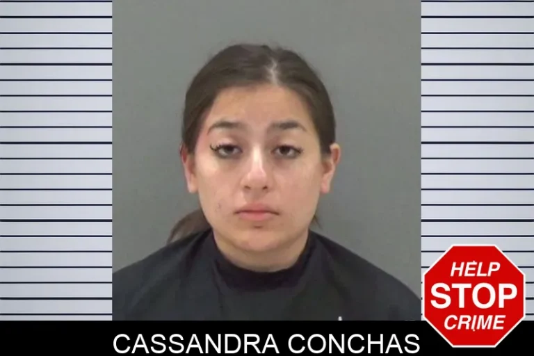 Cassandra Conchas