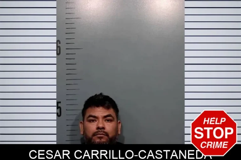 Cesar Carrillo-Castaneda
