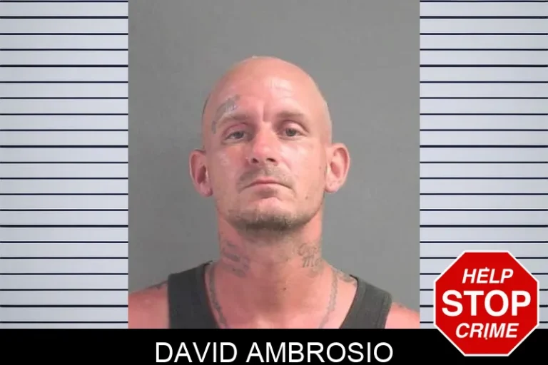 David Ambrosio