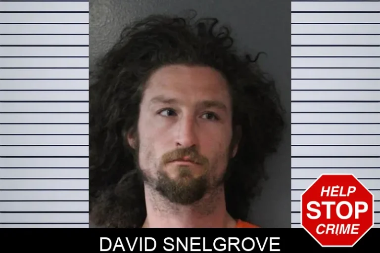 David Snelgrove