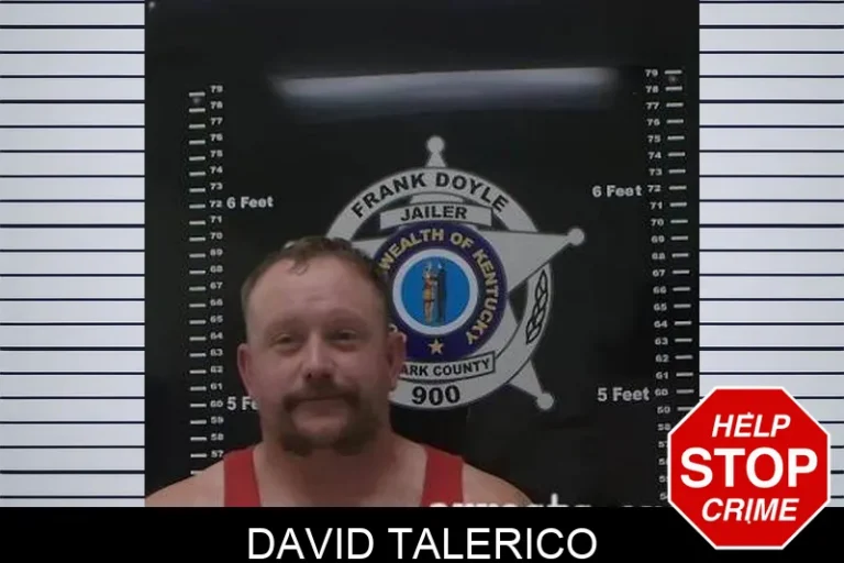 David Talerico