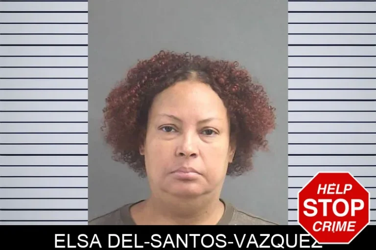 Elsa Del-Santos-Vazquez