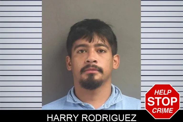 Harry Rodriguez