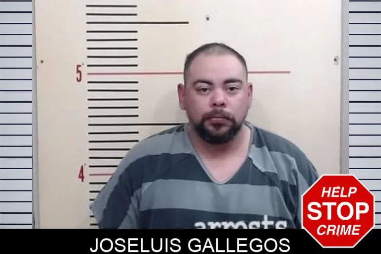 JoseLuis Gallegos