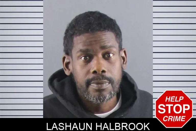 Lashaun Halbrook