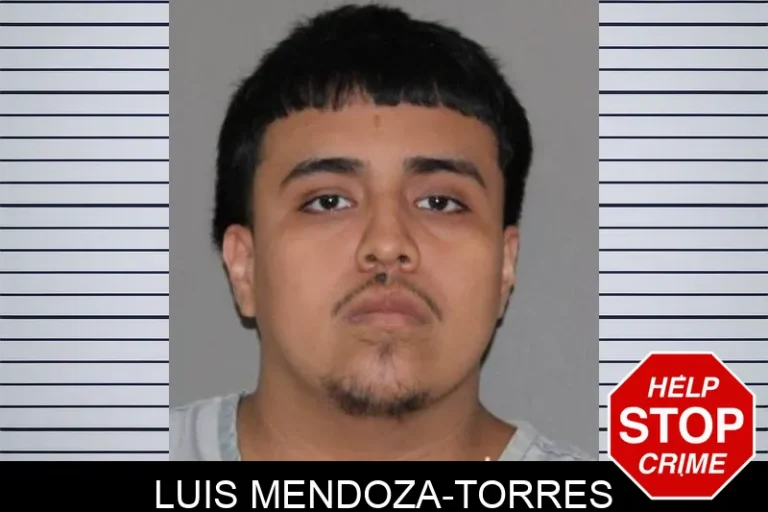 Luis Mendoza-Torres