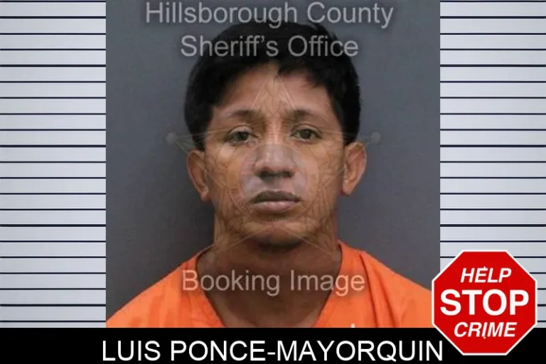 Luis Ponce-Mayorquin