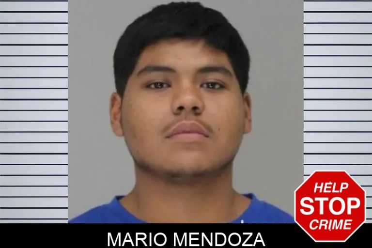 MARIO MENDOZA