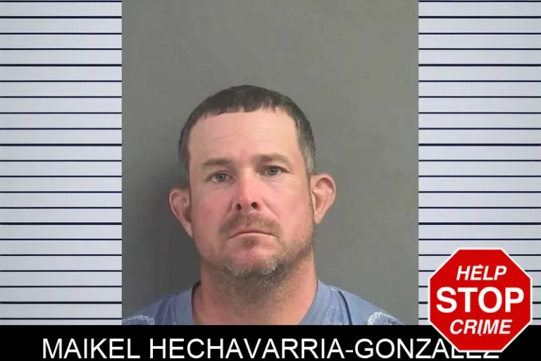 Maikel Hechavarria-Gonzalez