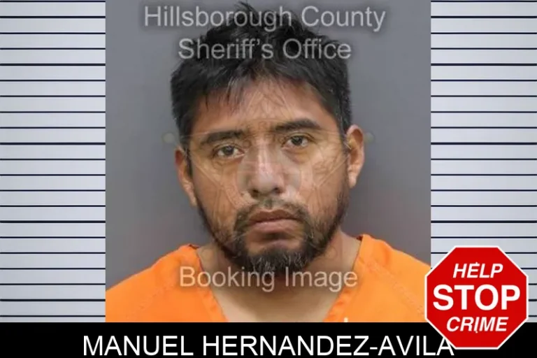 Manuel Hernandez-Avila