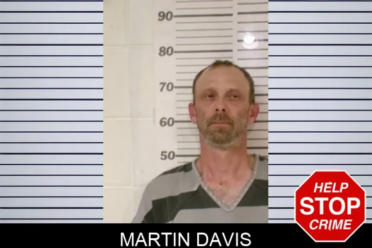 Martin Davis