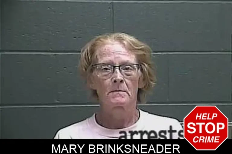 Mary Brinksneader