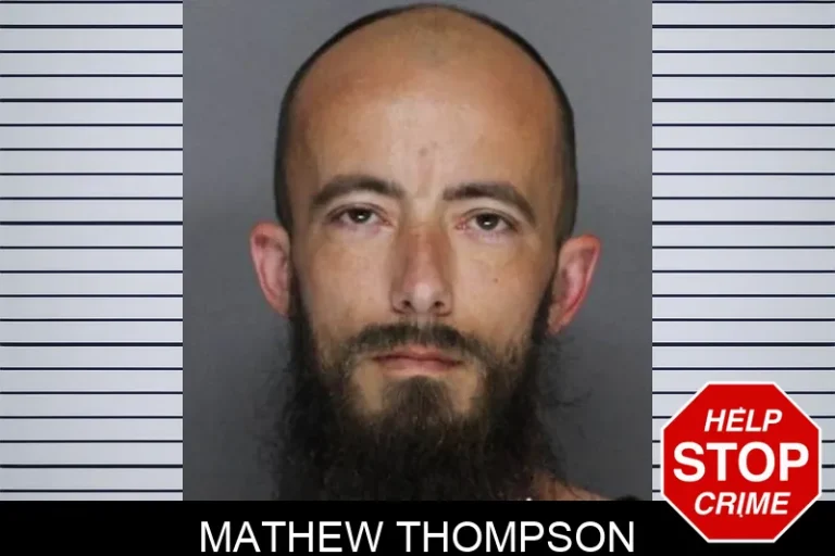Mathew Thompson
