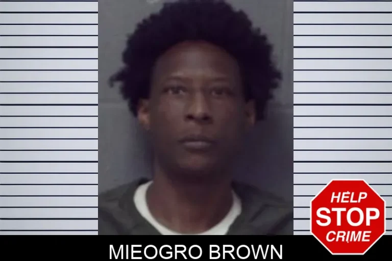 Mieogro Brown