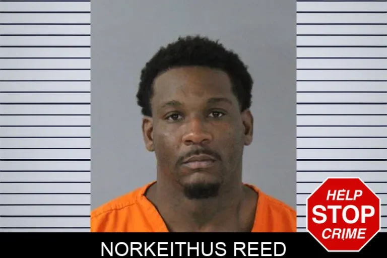 Norkeithus Reed