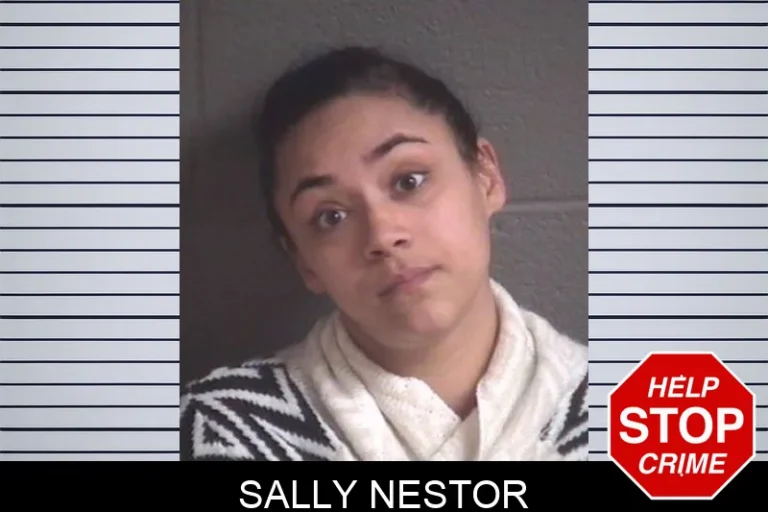 Sally Nestor