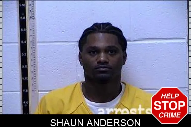 Shaun Anderson