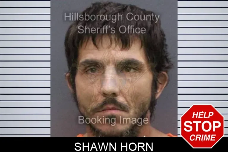 Shawn Horn