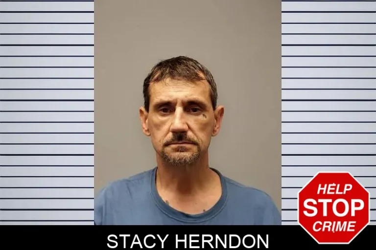 Stacy Herndon