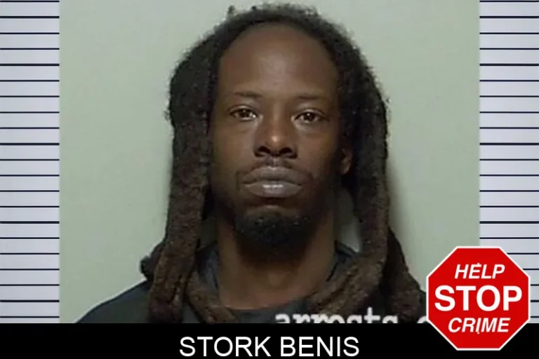Stork Benis