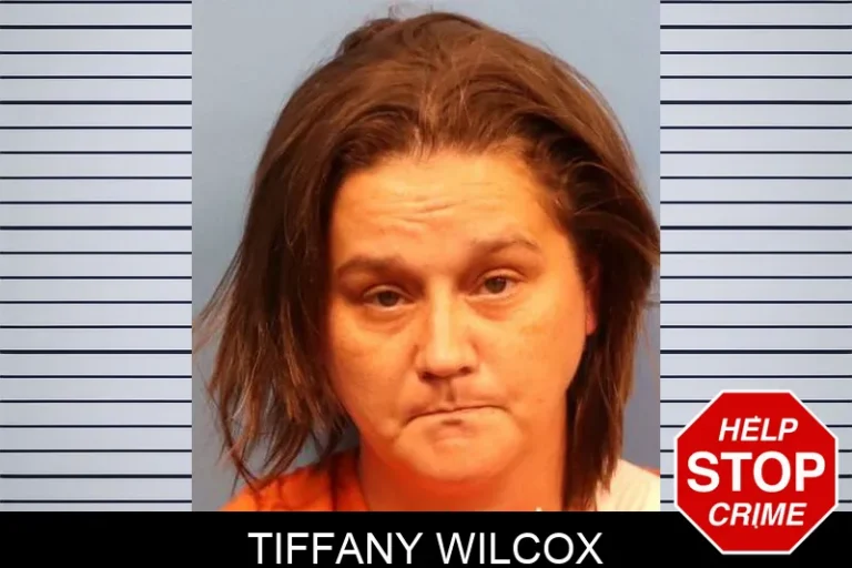 Tiffany Wilcox