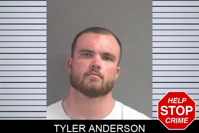 Tyler Anderson