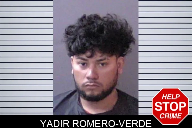Yadir Romero-Verde