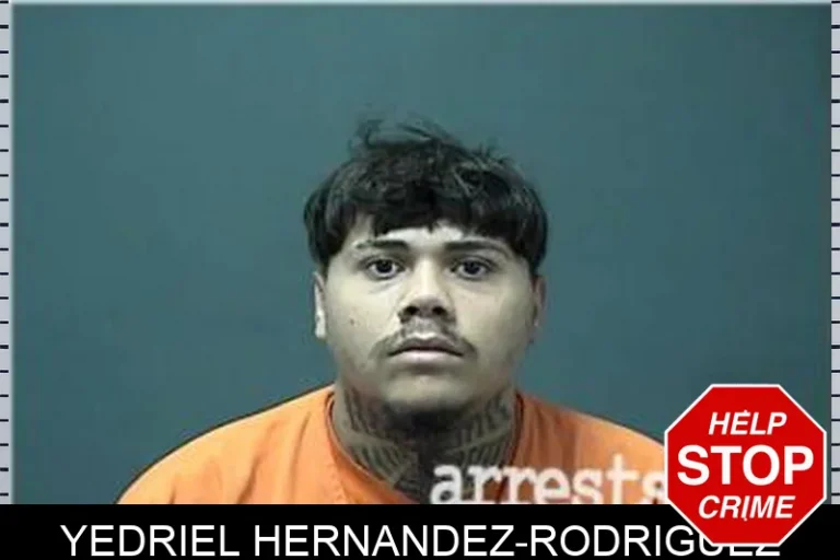 Yedriel Hernandez-Rodriguez